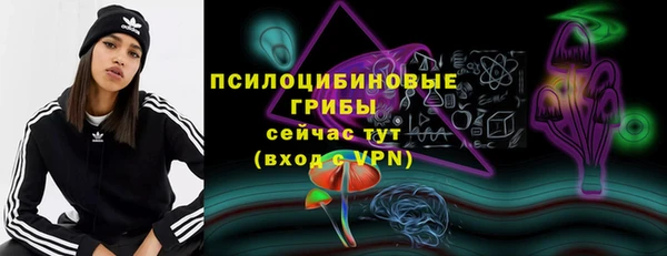 ешки Алзамай